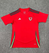 2024 Wales European Cup Home Fans Version Soccer Jersey
