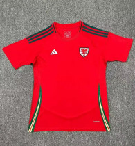2024 Wales European Cup Home Fans Version Soccer Jersey 2024 Wales European Cup Home Fans Version Soccer Jersey