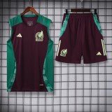 24-25 Mexico High Quality Tank Top And Shorts Suit