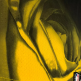 22-23 WARRIORS CURRY #30 Black City Edition Top Quality Hot Pressing NBA Jersey