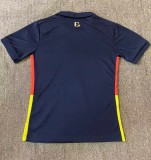 24-25 Ecuador Special Edition Fans Soccer Jersey