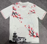 24-25 Japan Special Edition Fans Soccer Jersey
