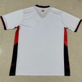 24-25 Vitoria Away Fans Soccer Jersey