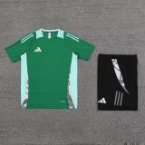 2024 AD Green Training Short Suit
