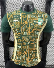 24-25 Cote d'Ivoire Special Edition Players Version Soccer Jersey
