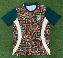 24-25 Cote d'Ivoire Special Edition Fans Version Soccer Jersey
