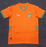 24-25 Cote d'Ivoire Home Fans Soccer Jersey