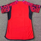 24-25 Spain Fans Soccer Jersey