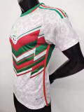 23-24 Algeria Special Edition Player Version Soccer Jersey