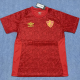 24-25 Fluminense Red Training shirts