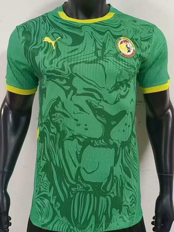 24-25 Senegal Away Player Version Soccer Jersey