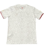 24-25 England Special Edition Fans Training Shirts