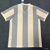 24-25 Argentina 50th Commemorative Edition Fans Soccer Jersey