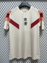 24-25 Lyon Special Edition Training shirts