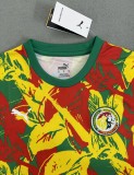 24-25 Senegal Special Edition Fans Version Soccer Jersey