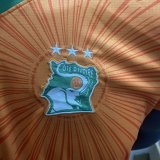 24-25 Cote d'Ivoire Special Edition Fans Version Soccer Jersey