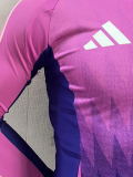 2024 Germany Europe Cup Away Long sleeves Player Version Soccer Jersey