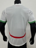 24-25 Morocco Away Player Version Soccer Jersey