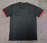 24-25 Japan Special Edition Fans Soccer Jersey