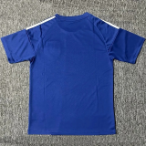 25-26 Japan Blue Special Edition Fans Soccer Jersey *赛亚人