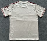 24-25 Bayern Apricot 125th Anniversary Fans Soccer Jersey *杏色