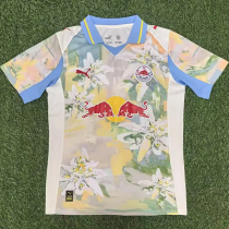 25-26 Salzburg Home Fans Soccer Jersey 25-26 Salzburg Home Fans Soccer Jersey