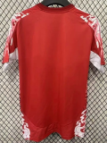 24-25 Man Utd Red Special Edition Fans Training shirts