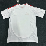 25-26 Internacional Away Fans Soccer Jersey