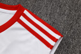 25-26 Bayern High quality Tank Top And Shorts Suit