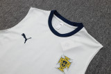 24-25 Portugal High Quality Tank Top And Shorts Suit