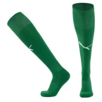 25-26 Dortmund Green Socks 25-26 Dortmund Green Socks