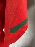 2010 Portugal Home Player Version Retro Soccer Jersey 1:1 Thai Quality*球员