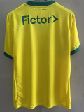 25-26 Palmeiras Yellow Third Fans Soccer Jersey 1:1 Thai Quality