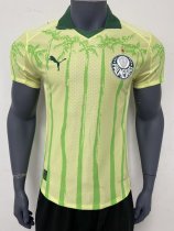 25-26 Palmeiras Special Edition Player Version Soccer Jersey 25-26 Palmeiras Special Edition Player Version Soccer Jersey