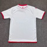 25-26 Red Star Belgrade Away Fans Soccer Jersey