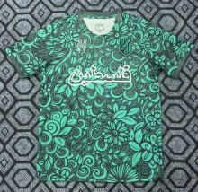25-26 Palestine Green Special Edition Fans Soccer Jersey