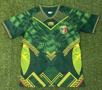 25-26 Mali Home Fans Soccer Jersey 25-26 Mali Home Fans Soccer Jersey