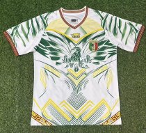25-26 Mali Third Fans Soccer Jersey 25-26 Mali Third Fans Soccer Jersey