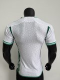 25-26 Algeria White Player Version Training shirts
