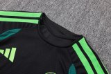 2026 Mexico Black High Quality Player Version Training Short Suit (球员套装)