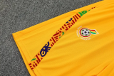 25-26 Ghana High Quality Training Short Suit