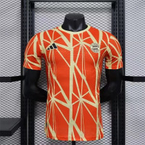 24-25 Bayern München (Training clothes) Player Version Thailand Quality