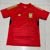 23-24 Tigres UANL (Goalkeeper) Fans Version Thailand Quality