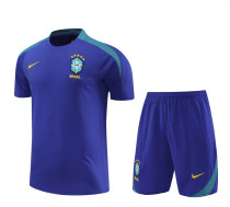 2024 Brazil (Training clothes) Adult Jersey & Short Set Quality