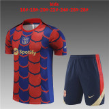 Kids kit 24-25 FC Barcelona (Training clothes) Thailand Quality