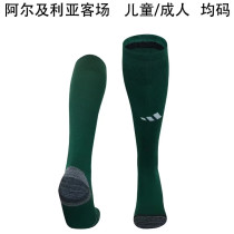 24-25 Algeria Away Soccer Socks