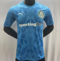 25-26 SE Palmeiras (Goalkeeper) Fans Version Thailand Quality