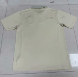 25-26 SE Palmeiras Polo Jersey Thailand Quality