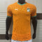 2025 Coate d'Ivoire home Player Version Thailand Quality