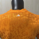 2025 Coate d'Ivoire home Player Version Thailand Quality